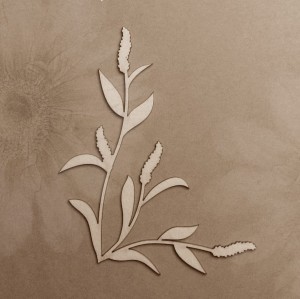 Tekturka Rdest Ptasi