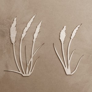 Tekturka Kępki traw