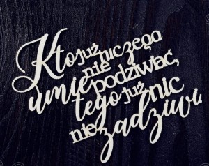 Tekturka Kto już niczego nie umie...