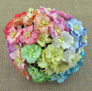 Kwiatki Jabłoni Mix Pastel 50szt.