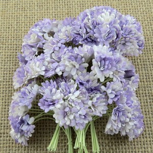 Kwiat Gypsophila 2-tone Lilac 10 szt.    