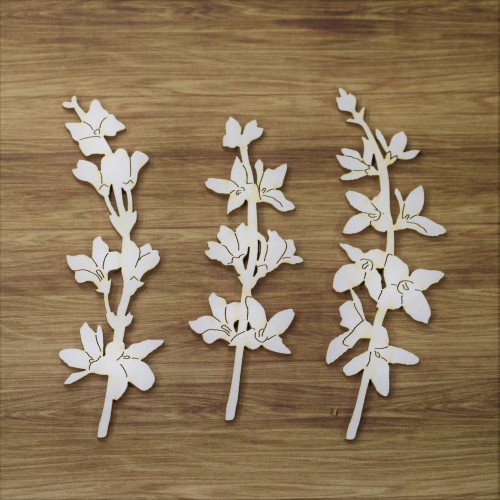 A4462.JPG