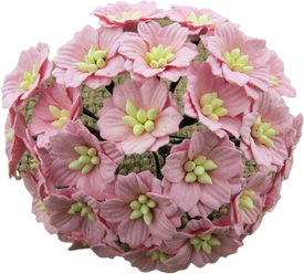 34d95c83-c386-4dcd-85c9-82e97780b62b   607.png