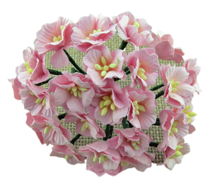 Kwiat jabłoni Bardzo jasny różowy 20-25mm  10 sztuk 