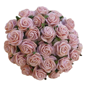 Kwiaty Róże 15mm  Brzoskwiniowo-ptysiowy 10szt.    