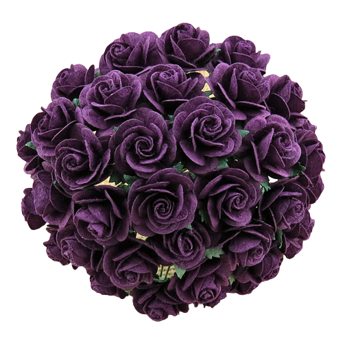 49367-removebg-preview.png