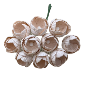 Kwiat Jaskier Jasno brzoskwiniowy 25mm  5szt 