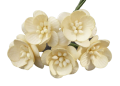 cf175ab1b5bb5b5528975b6ad2598179-removebg-preview.png