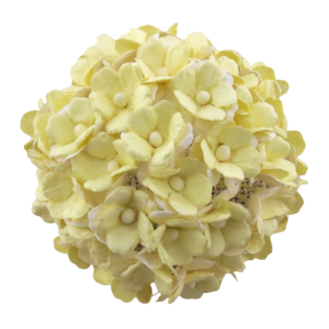 Kwiatki Sweetheart 2-tone Pale Yellow10szt.     