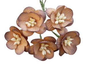 Kwiat wiśni  Czekoladowy 10 szt.