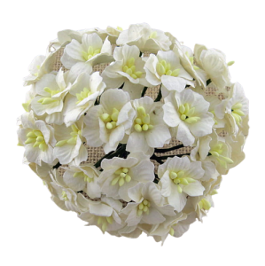 Kwiat jabłoni Białe 20-25mm  10 sztuk