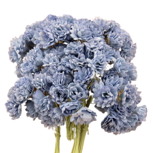 Kwiat Gipsówka Baby Blue 10 szt.   
