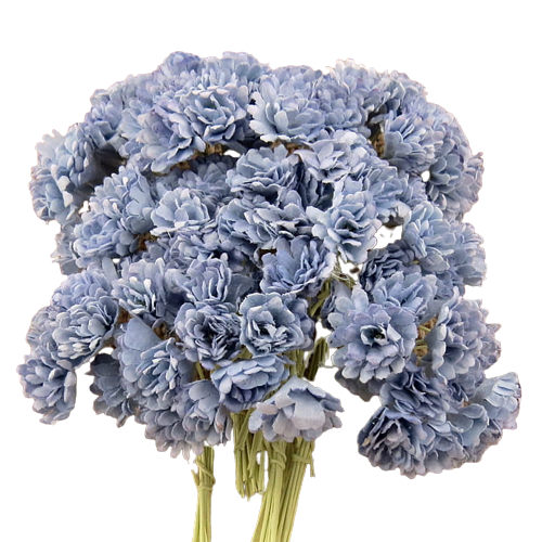 pobrane-removebg-preview (3).png