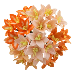 Kwiaty  Lilie orange Zestaw 50szt.