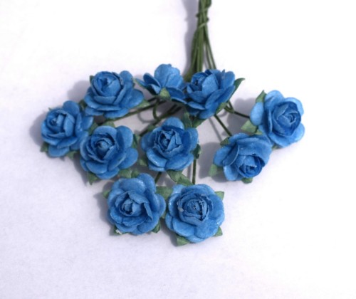 róże niebieskie.JPG