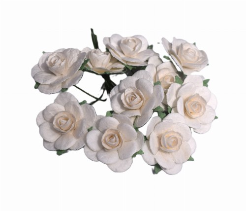 Kwiat róża biała.JPG