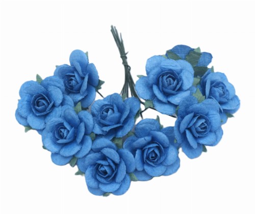 Kwiat róży Blue.JPG