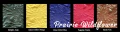 ep-set-09_prairie_wildflower_CHART.webp