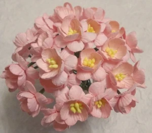 Kwiat wiśni  Baby Pink 10 szt.