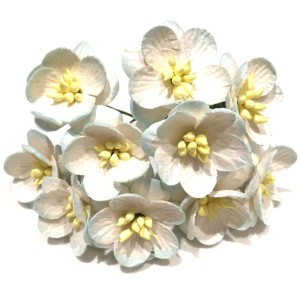 Kwiat wiśni "2 odcienie niebieskiego" 10szt