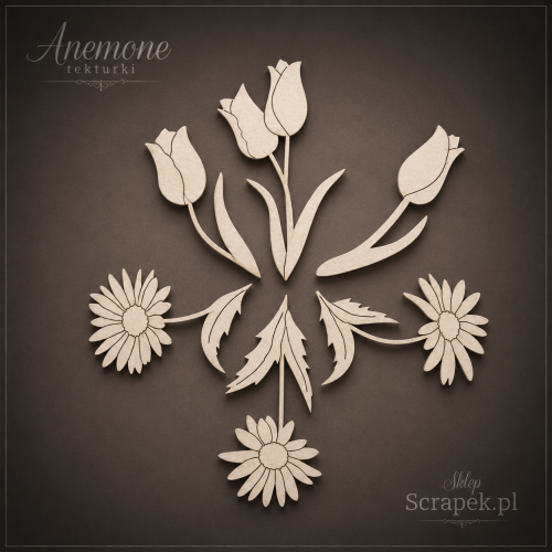 Tulipany i margaretki.png