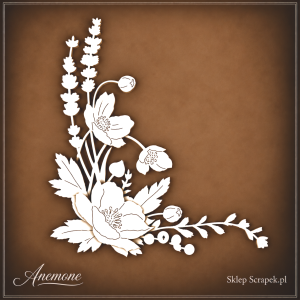 Tekturka 2D  Ciemiernik ornamenty 04 