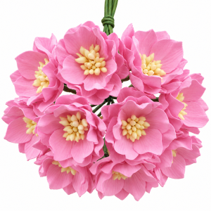 Kwiaty Lotosu Baby pink 40mm 5szt.
