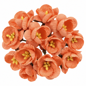 Kwiat wiśni  brzoskwiniowy orange  10szt.