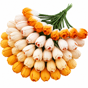 Kwiatki Tulip Peach Orange 50 szt.    